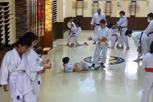Çocuk Aikido Ders Fotoğraf